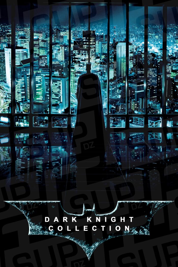Batman - The Dark Knight Poster DZ Algerie