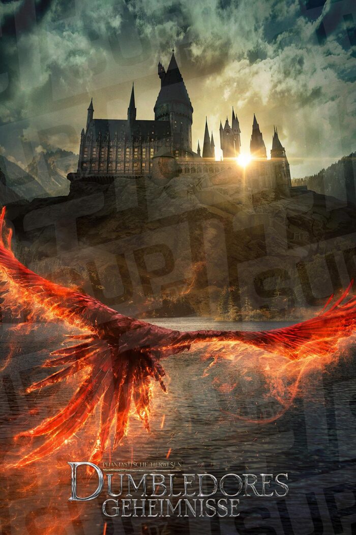 Fantastic Beasts - The Secrets Of Dumbledore Poster DZ Algerie