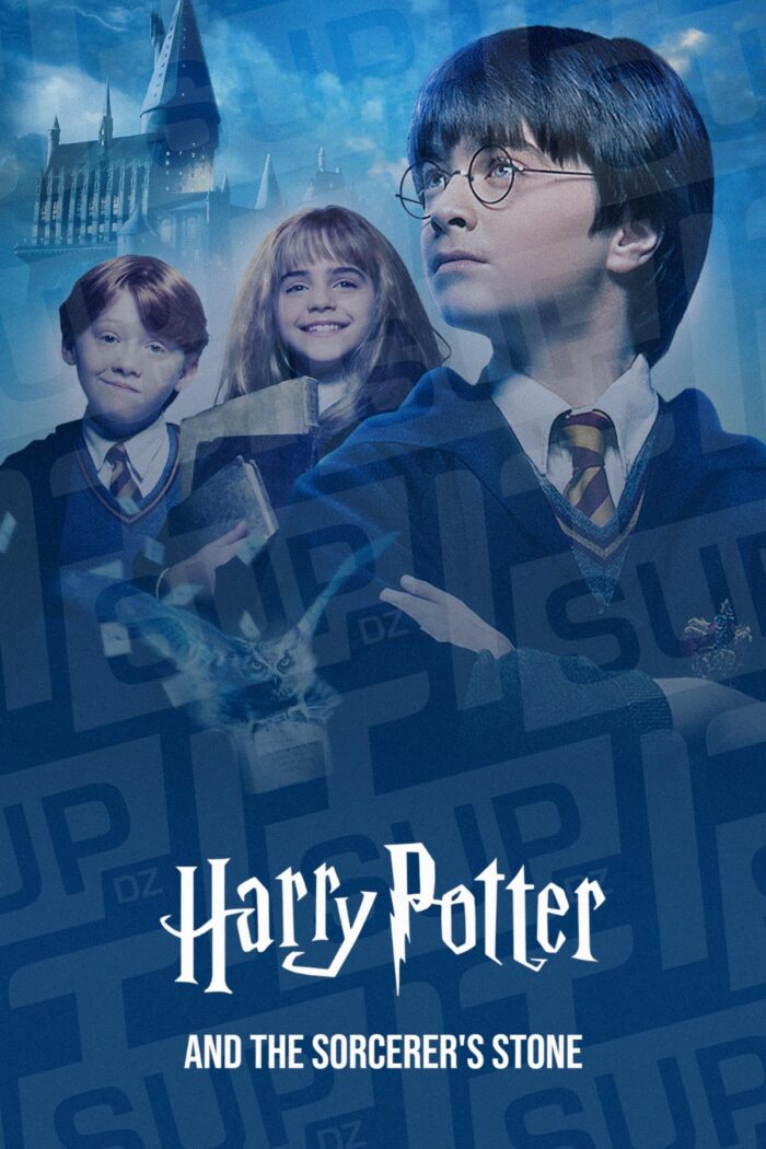 Harry Potter & The Sorcerer's Stone Poster DZ Algerie