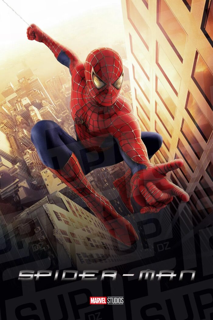 Spider-man Poster DZ Algerie