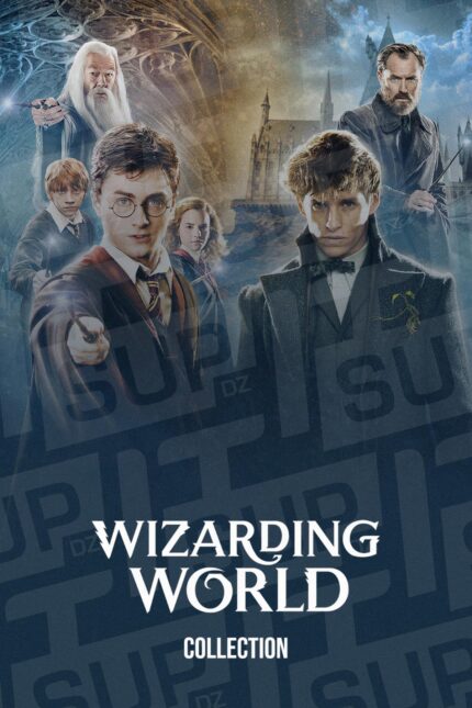 Wizarding World - Harry Potter - Fantastic Beats Poster DZ Algerie